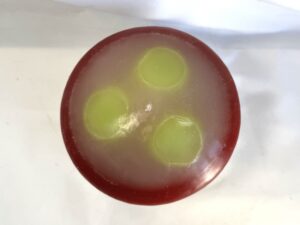 Bougie soucoupe 12 cm en cire minérale — vert, blanc et rouge