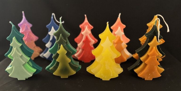 COLLECTION DE SAPINS 2024-2025